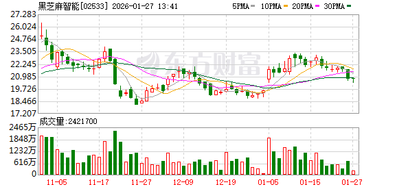 黑芝麻智能定增生变！武岳峰资本与资本大佬戴思元再度协同出手